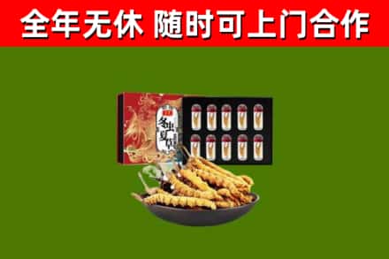 莱阳市回收冬虫夏草价格